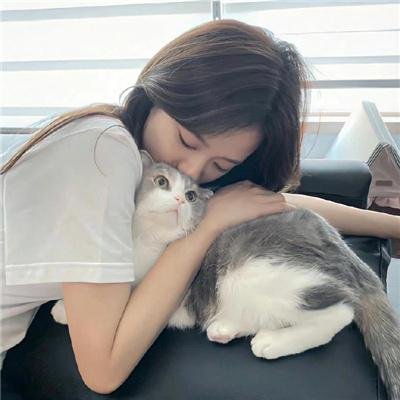 爱尔兰之愿